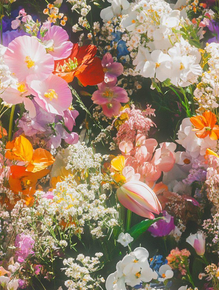 Professional floral arrangement in modern corporate setting